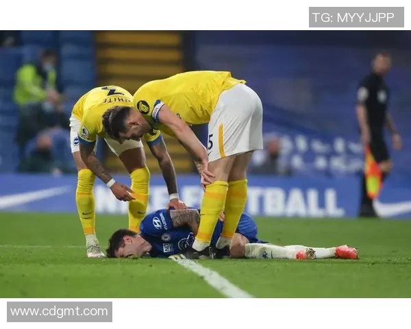 怀特足球明星名字大全及其成就分析与影响力探讨