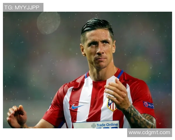 托雷斯传奇之路:从小球场到世界巅峰的足球人生纪录片